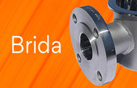 Brida